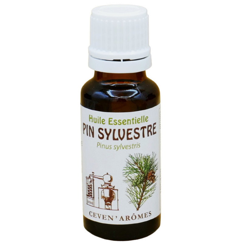 Aceite esencial de pino silvestre