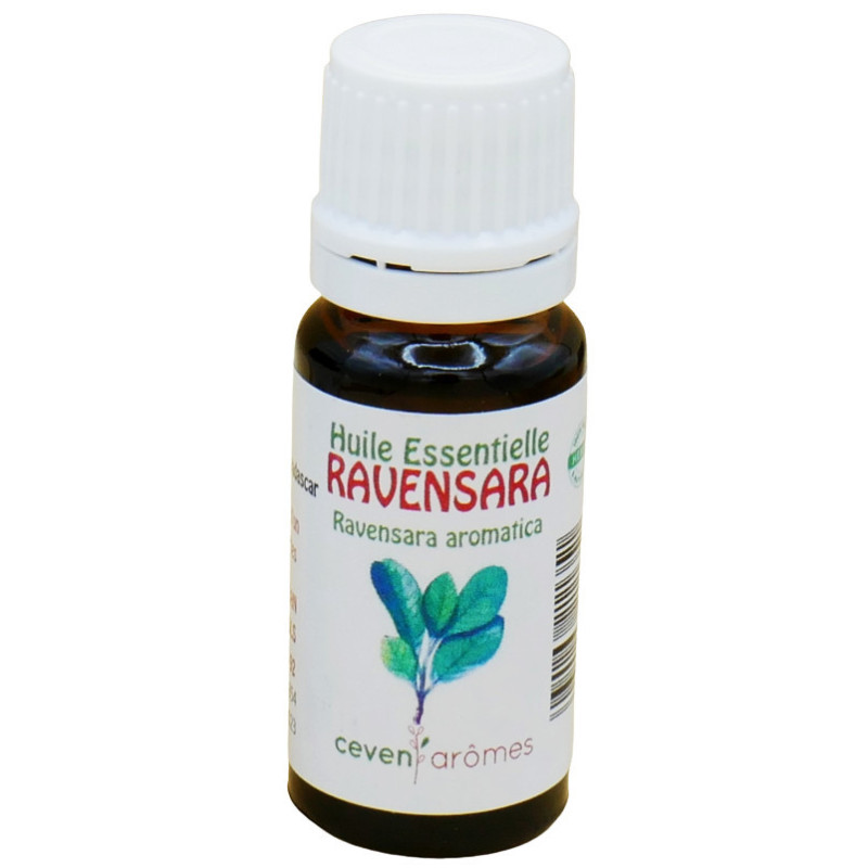 Olio Essenziale di Ravensara