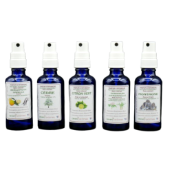 Parfum d'intérieur aux huiles essentielles - Verre bleu 50 ml