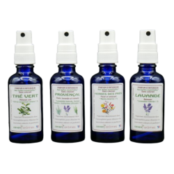 Botella pulverizadora - Vidrio azul