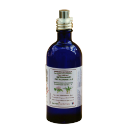 Parfum d'intérieur aux huiles essentielles - Verre bleu 100 ml