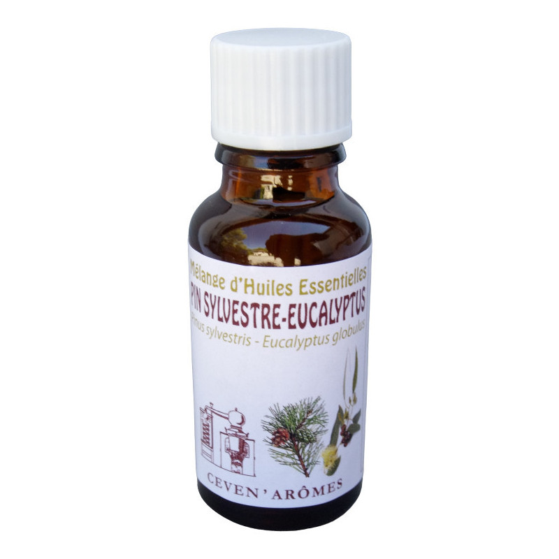 Mélange Stimulant Pin-Eucalyptus  Huile essentielle