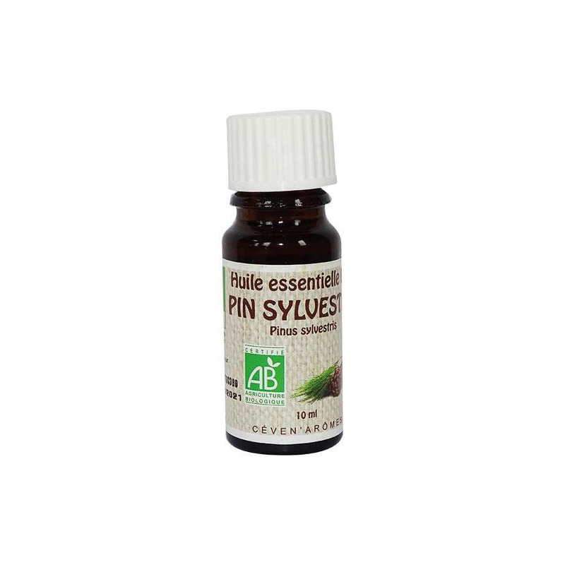 Pin Sylvestre  Huile essentielle bio