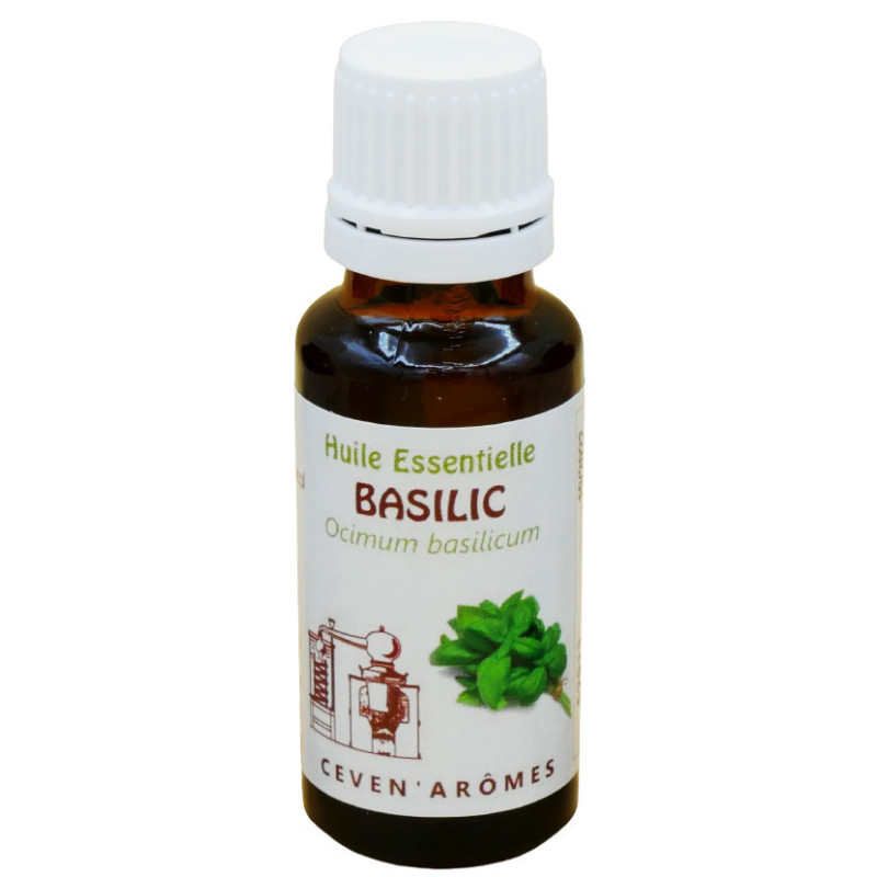 Olio essenziale di basilico