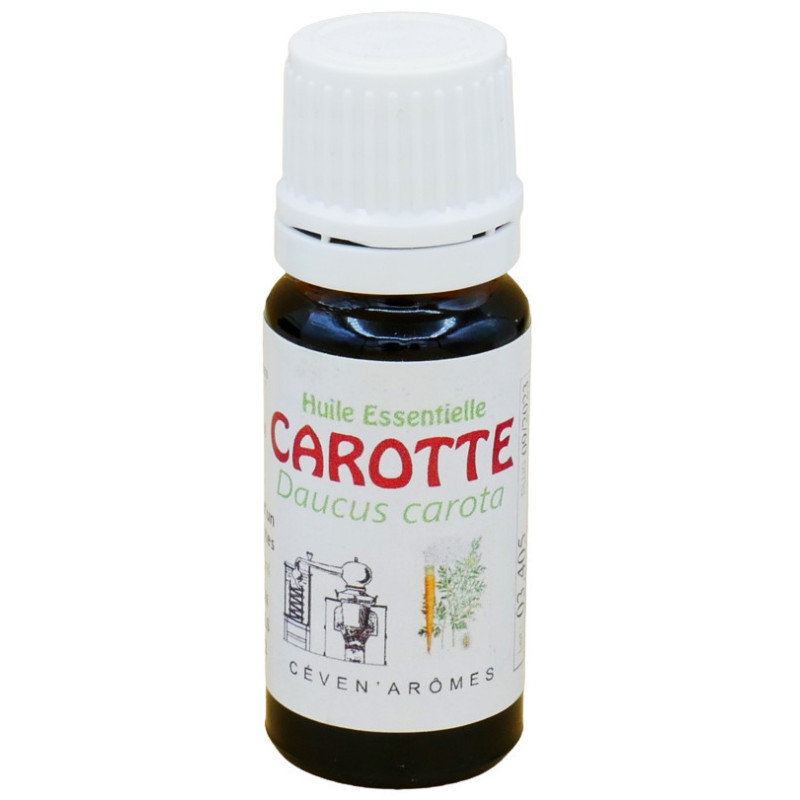 Olio essenziale di carota