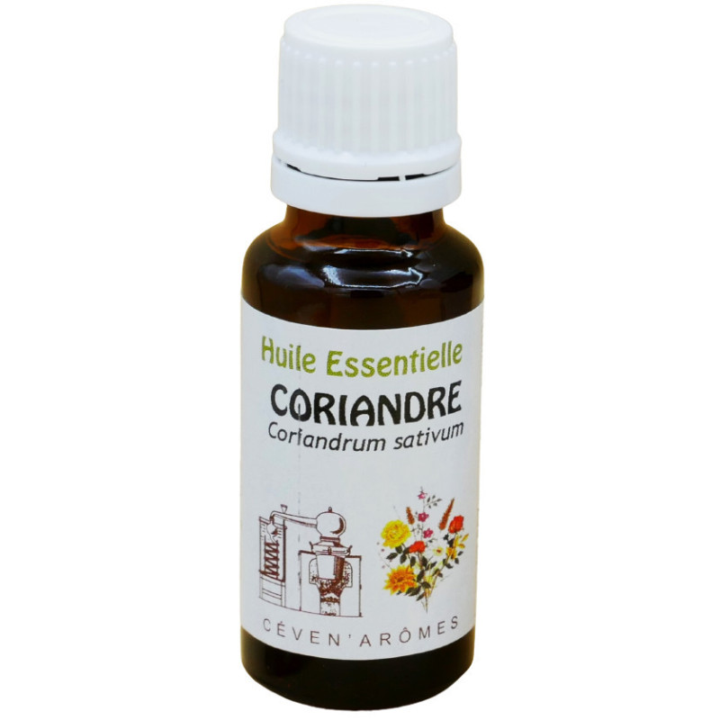 Aceite esencial de cilantro