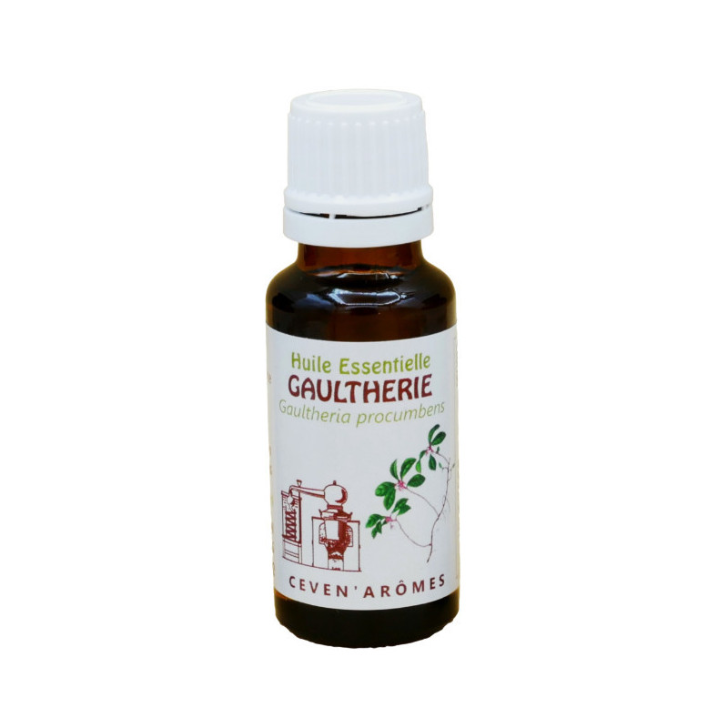 Aceite esencial de gaulteria
