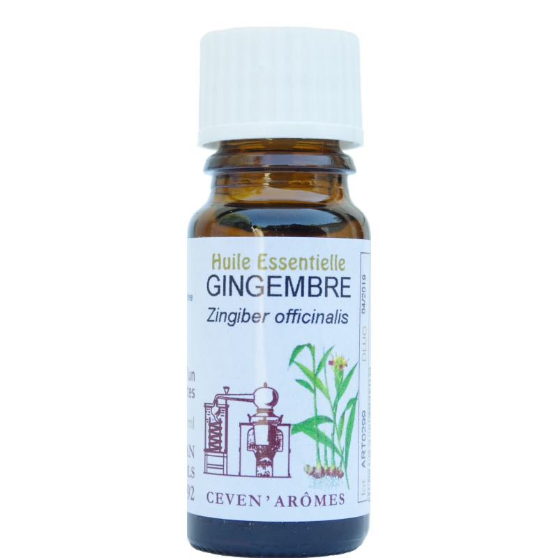 Aceite esencial de jengibre