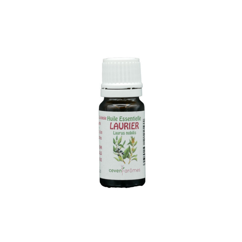 Laurier Huile Essentielle 100 % pure et naturelle